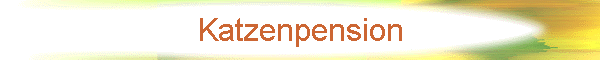 Katzenpension